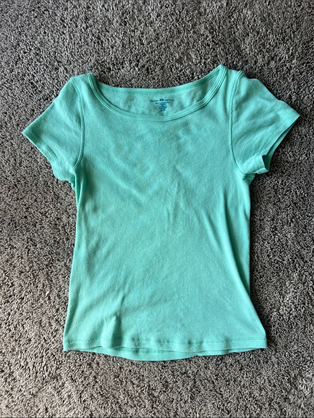 Brandy Melville Aquamarine Hailie Shirt Short Sleeve Scoop Neck